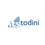ITS Todini 